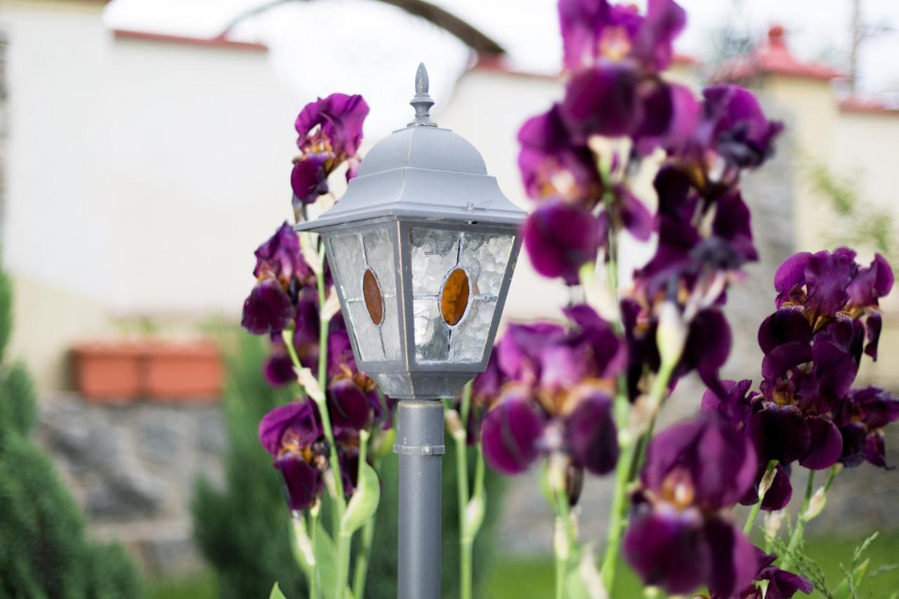 Villa Oselya 키예프 외부 사진