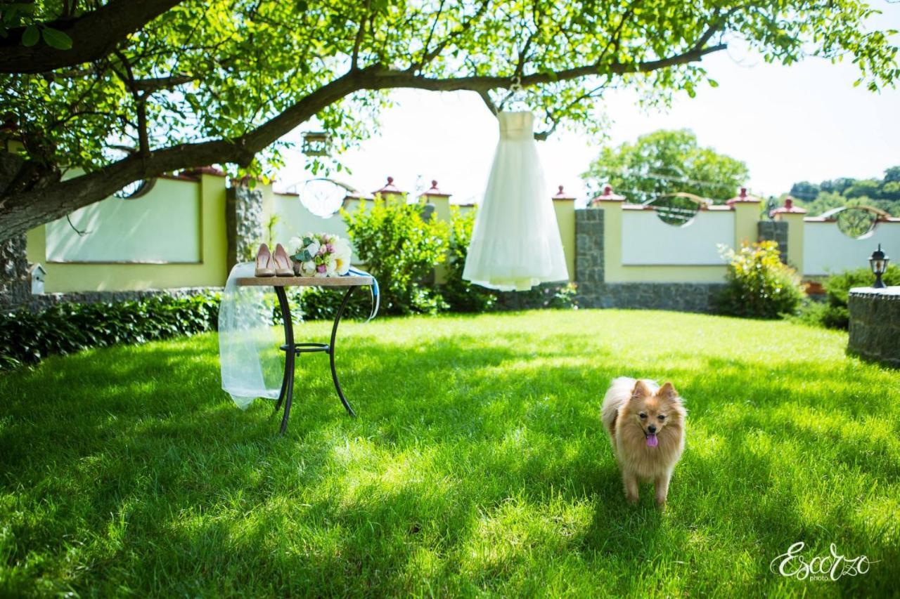 Villa Oselya 키예프 외부 사진